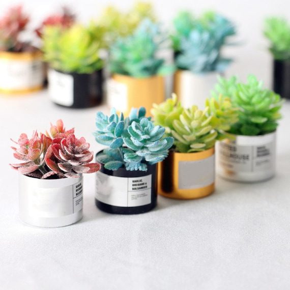 Miniature Green Potted Plants
