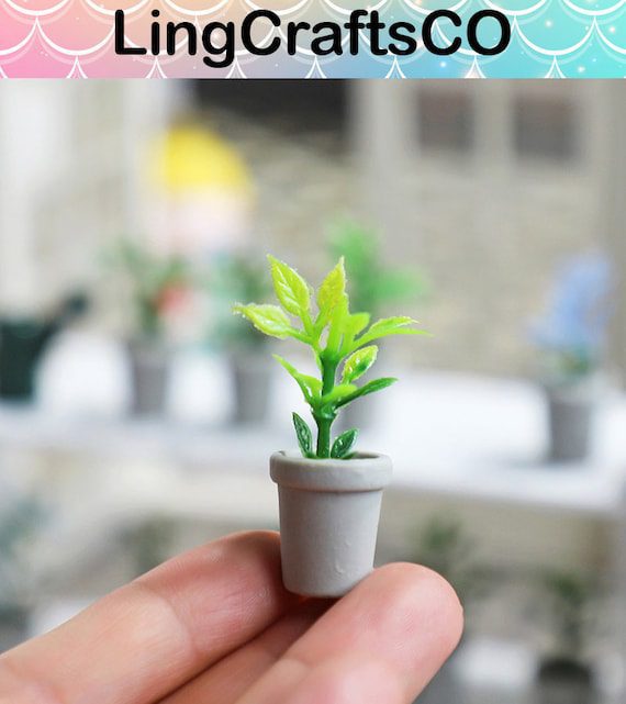 Miniature Potted Plant In Grey Pot