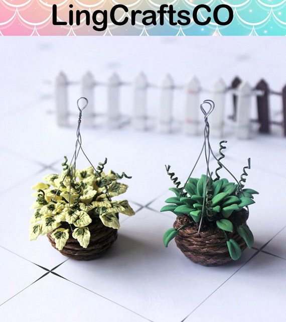 Hanging Miniature Potted Plants