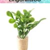 Miniature Potted Plant