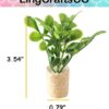 Miniature Potted Plant