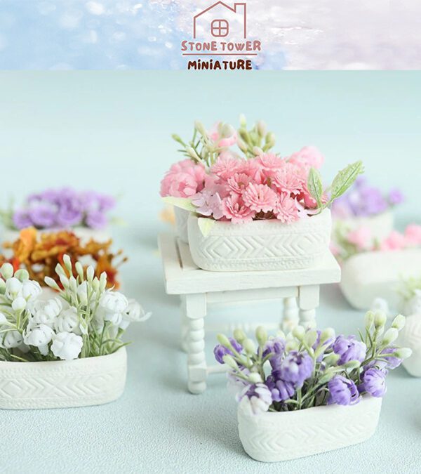 White Miniature Potted Plants