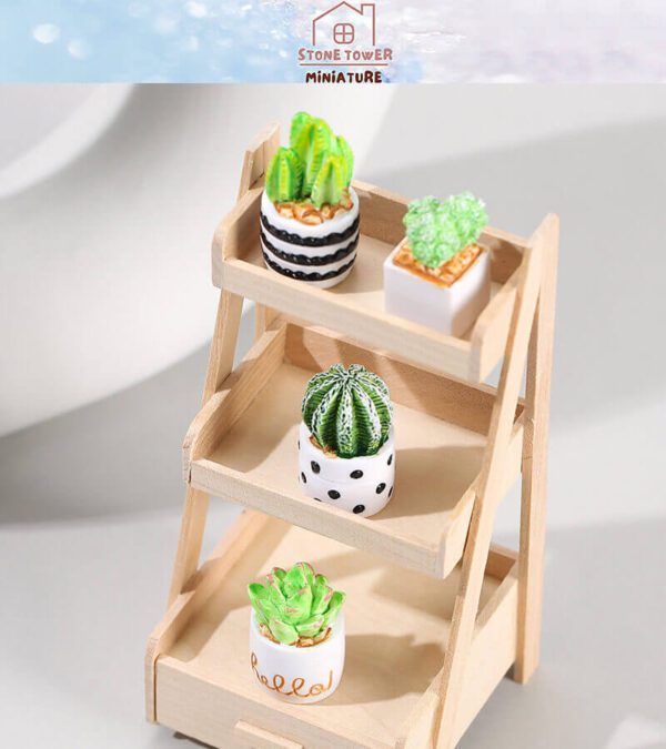 Miniature Potted Cactus Plants