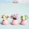 Pink Miniature Potted Plants
