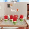 Miniature Watermelon Juice